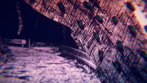 El verano en que Hikaru murió